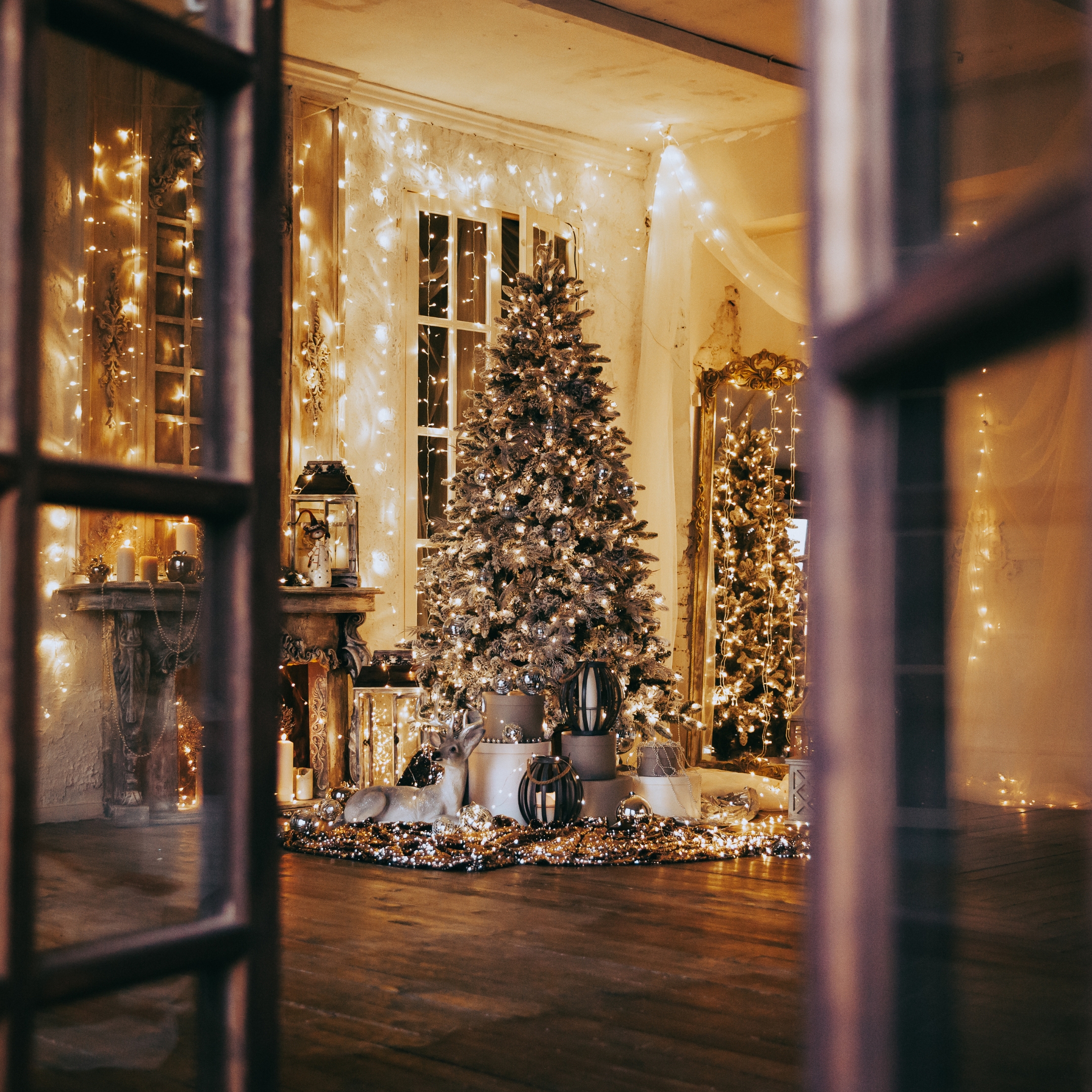 Mida tuleks jõulupuu tuppa toomisel silmas pidada?