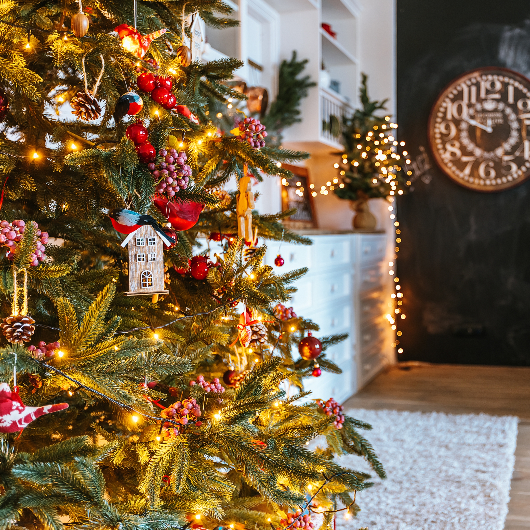 Mida tuleks jõulupuu tuppa toomisel silmas pidada?