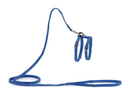  Traksid kassile nailon sinine rihm 130cm 