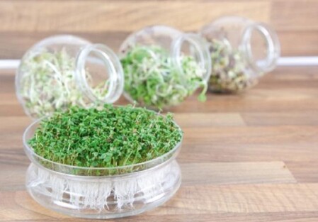  Buzzy® Organic idandamispurk 'Salad mix' 