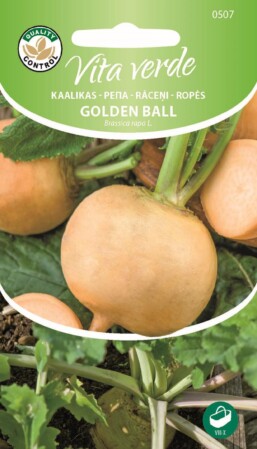  Kaalikas Golden Ball Brassica rapa L. 