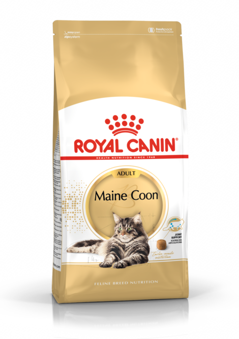  Kassitoit Royal Canin FBN Maine Coon 4 kg 