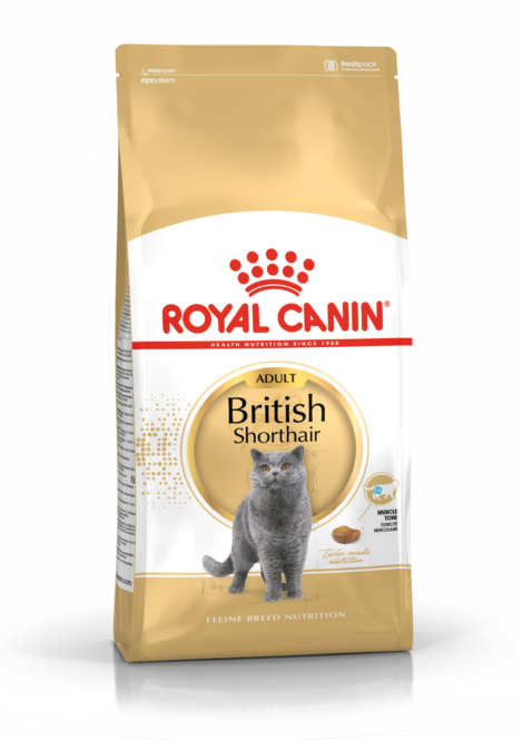  Kassitoit Royal Canin FBN British Shorthair 2 kg 