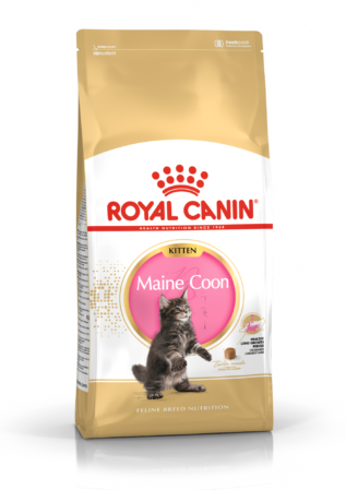  Kassitoit Royal Canin FBN Kitten Maine Coon 0,4 kg 