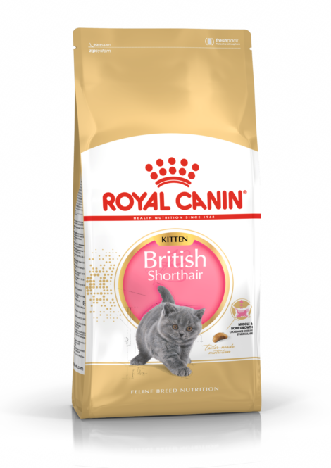  Kassitoit Royal Canin FBN Kitten British Shorthair 0,4 kg 
