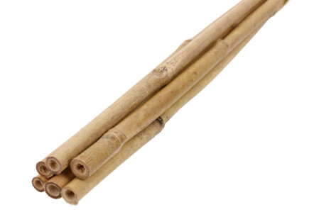  Bambustugi kõrgus 0,6m, d6-8mm 6tk/kmpl Baltic Agro 