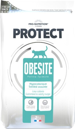  Kassitoit Protect Cat Obesite 2kg 
