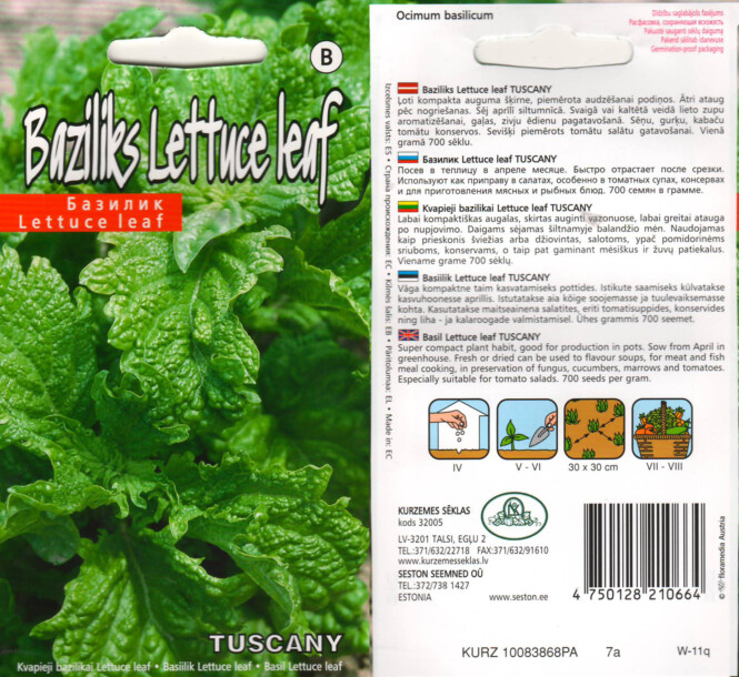 Basiilik 'Lettuce leaf Tuscany' 1 g 