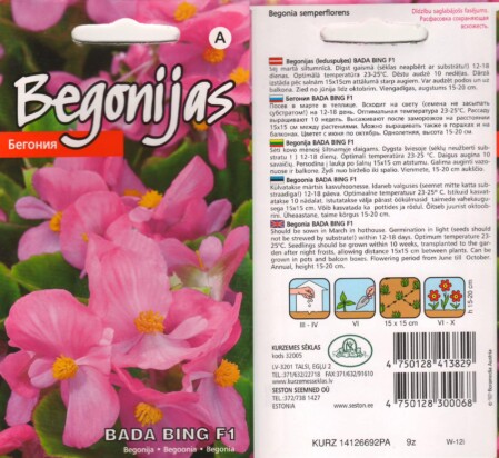  Begoonia 'Bada Bing Rose' F1 15 s 