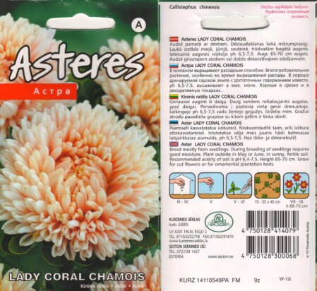  Aster 'Lady Coral Chamois' 0,2 g 