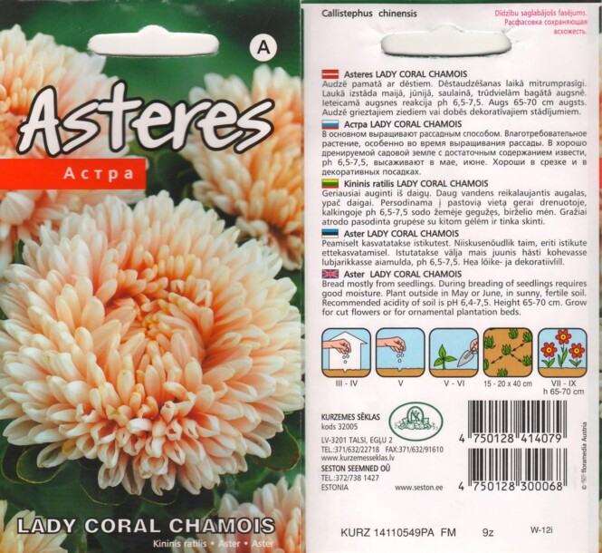  Aster 'Lady Coral Chamois' 0,2 g 