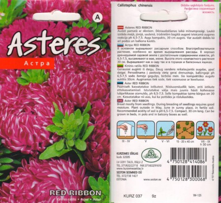  Aster 'Red Ribbon' 0,2 g 