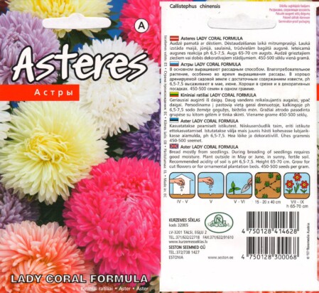  Aster 'Lady Coral Formula' (Mix) 0,2 g 