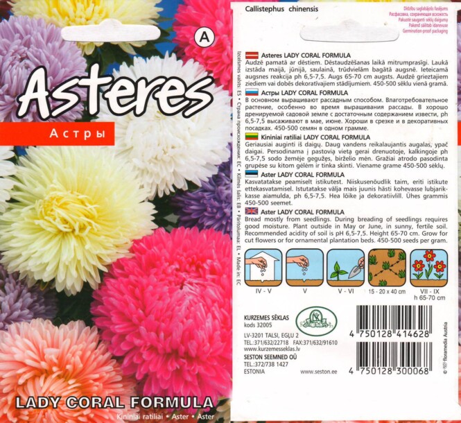  Aster 'Lady Coral Formula' (Mix) 0,2 g 