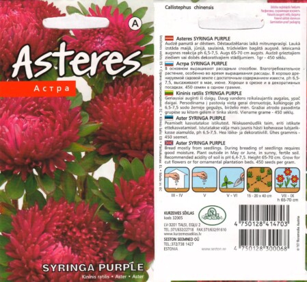  Aster 'Syringa Purple' 0,4 g 