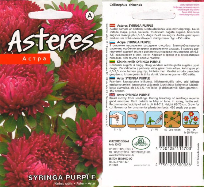  Aster 'Syringa Purple' 0,4 g 