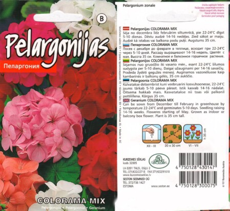  Pelargoon 'Colorama' mix 0,2 g 