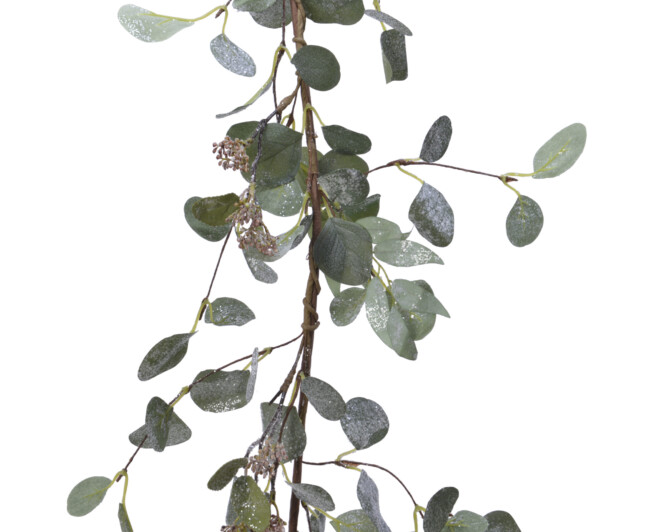  Vanik eukalüpt h150cm roheline 