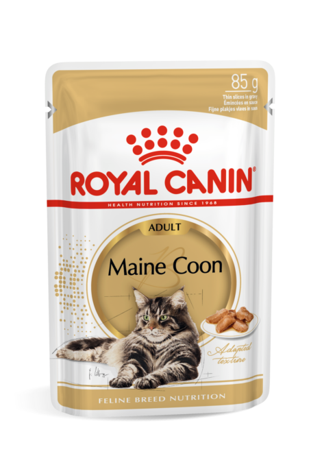  Kassitoit Royal Canin FBN Maine Coon Wet 0,085 kg 