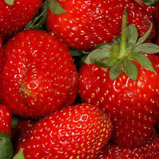  Aed-maasikas 'Flair' frigo 6-korv 