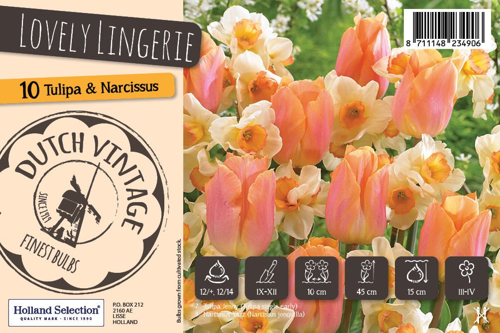  Lillesibul Dutch Vintage segupakk Lovely Lingerie 
