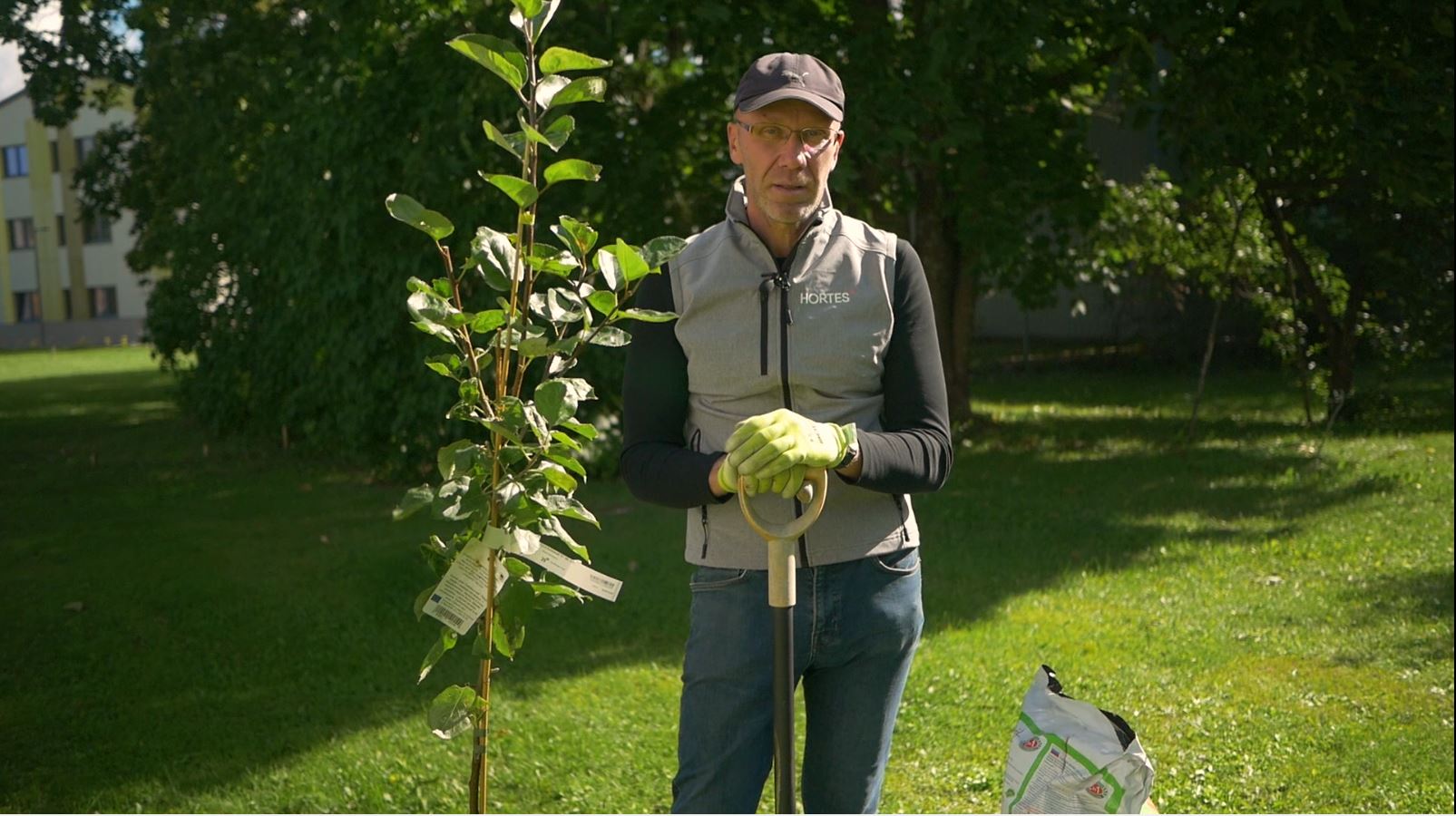 Videoblogi: kuidas istutada viljapuid?