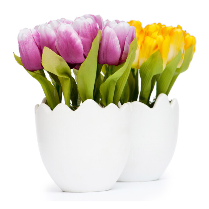 Tulp potis valik P10 25cm