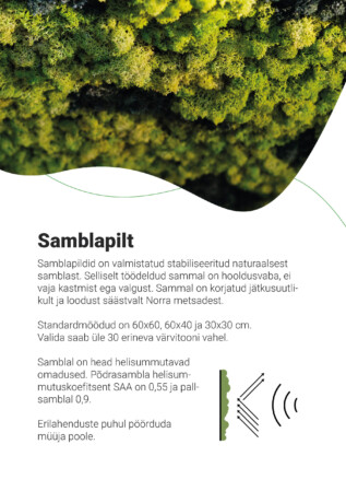  Samblapilt põdrasammal must raam 60x60cm 