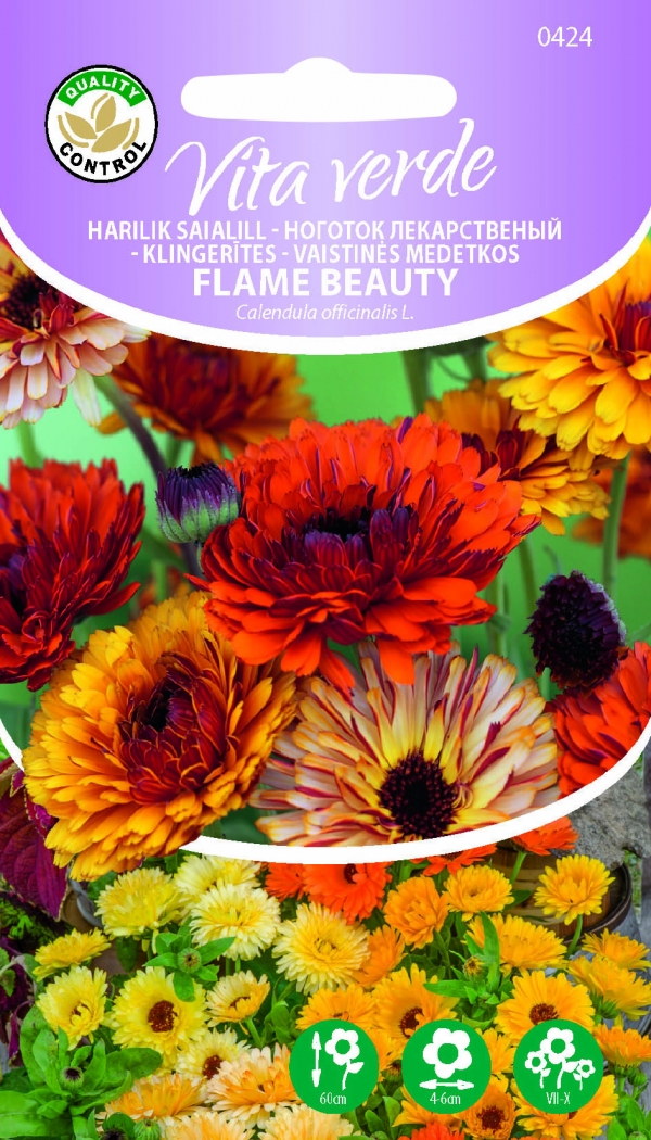 Harilik saialill 'Flame Beauty' 2g