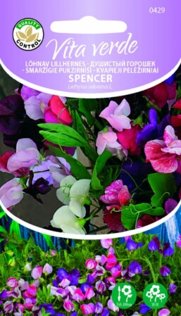  Lõhnav lillhernes 'Spencer' segu 2g 