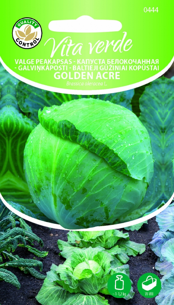  Valge peakapsas Golden Acre Brassica oleracea L. 