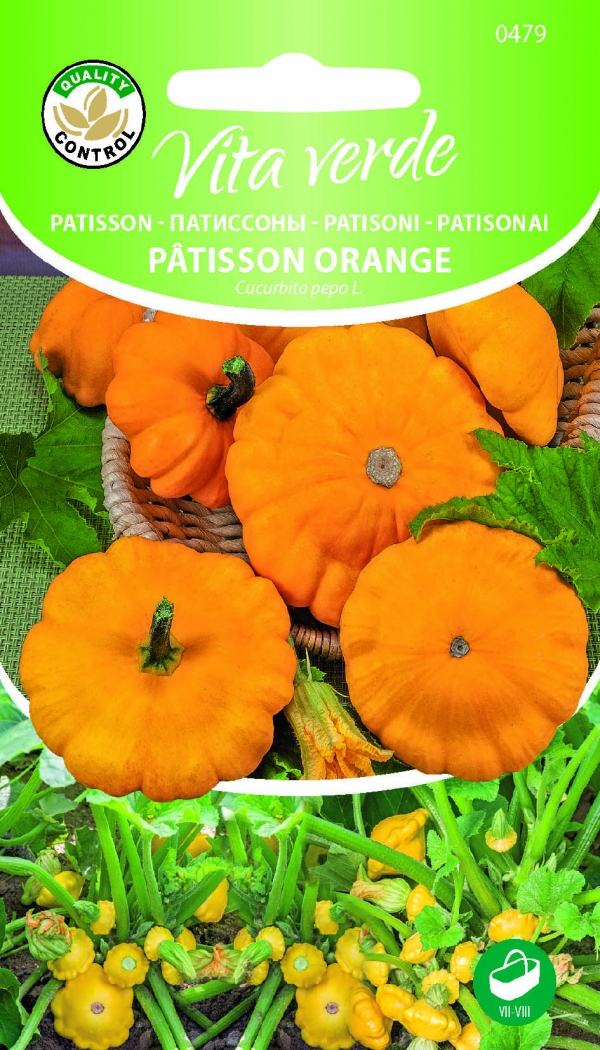  Patisson Patisson Orange Cucurbita pepo L. 