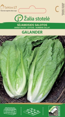  Rooma salat 'Galander' F1 1g 