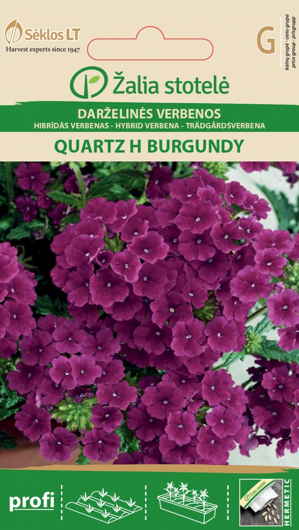  Aed-raudürt 'Quartz H Burgundy' 15 s 