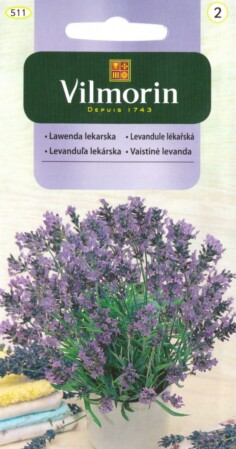  Lavendel 