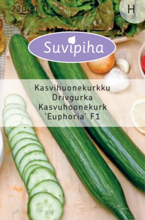  Kurk Euphoria F1 kasvuhoone 6s 