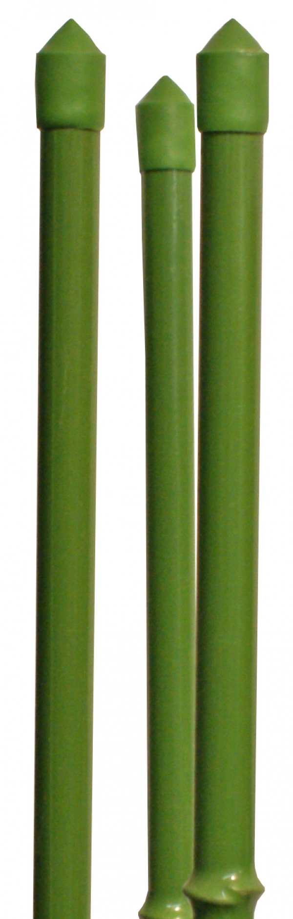  Taimetugi roheline 150cm x 11mm 