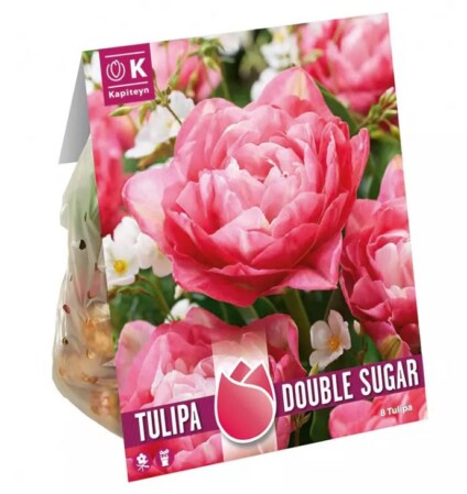  Tulp 'Double Sugar' 12/+ 8tk 