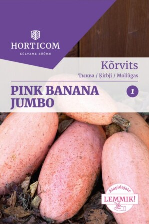  Kõrvits 'Pink Banana Jumbo' 10s 