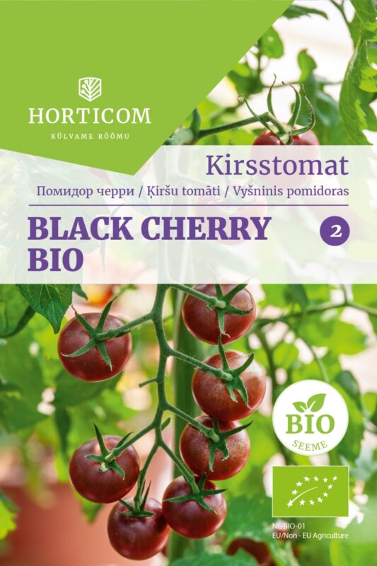 Kirsstomat 'Black Cherry' BIO 30s