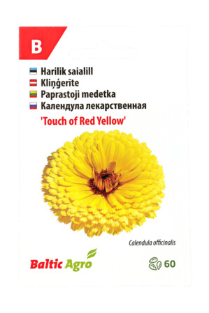  Saialill ‘Touch of Red Yellow’ 60s 