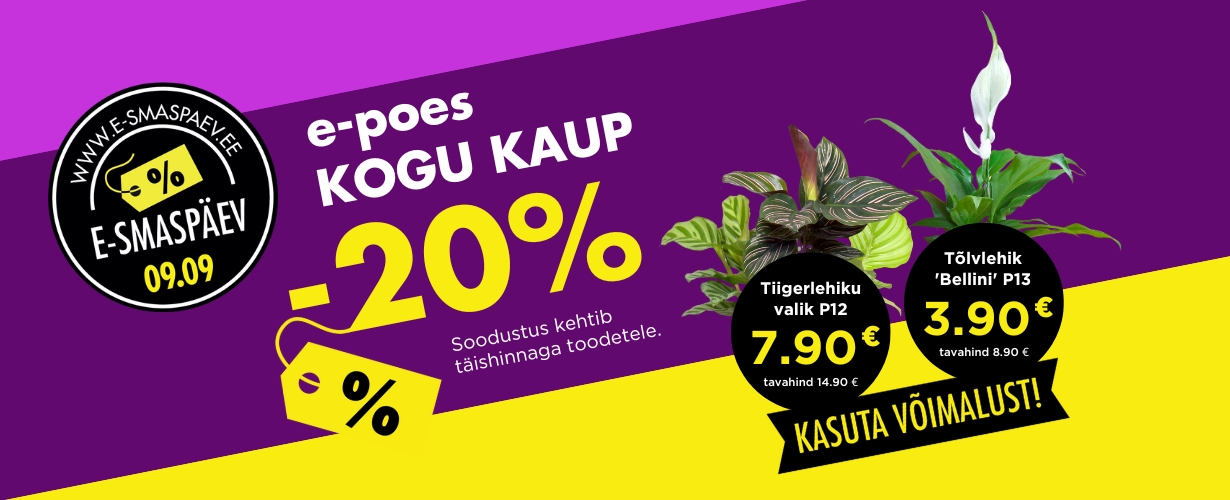 E-smaspäeval kogu tavahinnaga kaup -20%!