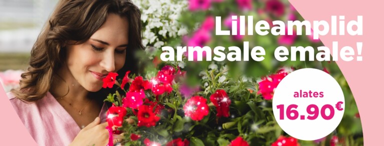 Lilleamplid armsale emale