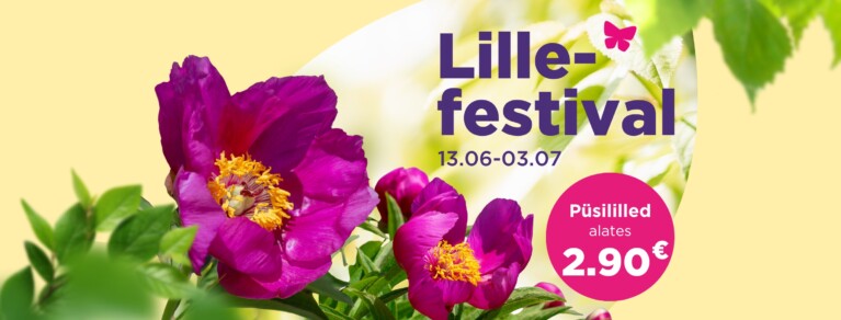 Lillefestival