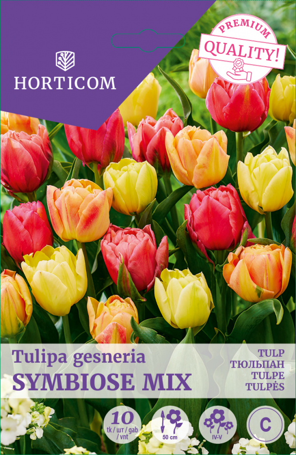 Tulp 'Symbiose Mix' 11/12 10tk