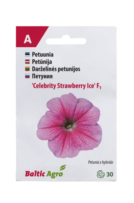 Petuunia 'Celebrity Strawberry Ice'