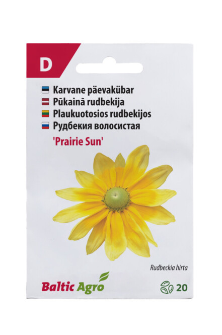 Päevakübar 'Prairie Sun'